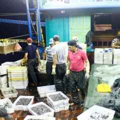 Hải Phòng: Chỉ hơn 10 tàu cá đáp ứng được yêu cầu an toàn thực phẩm!